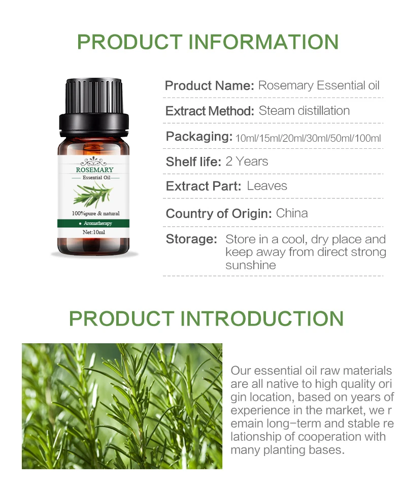 Rosemary-essential-oil04